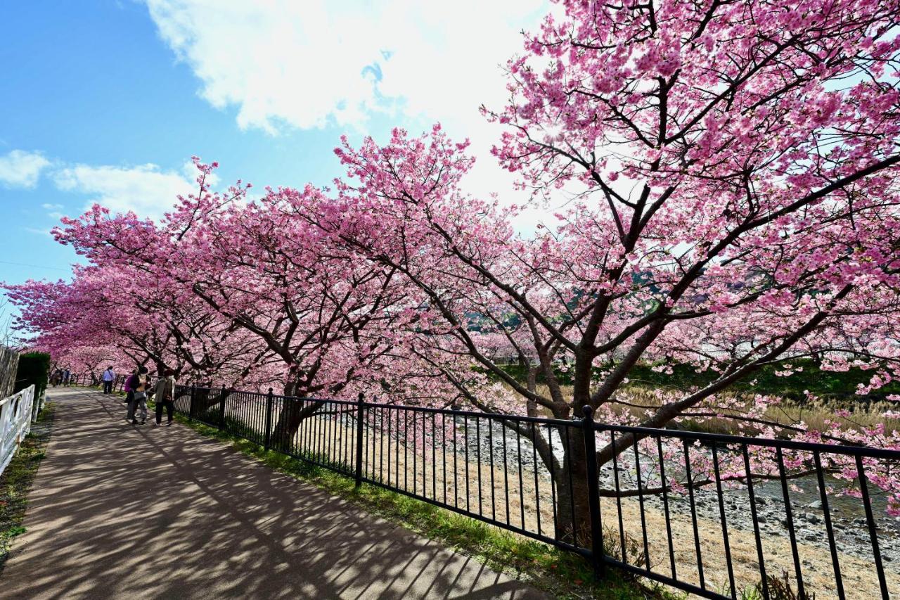 Shobuzawa Log Villa Kawazu Buitenkant foto