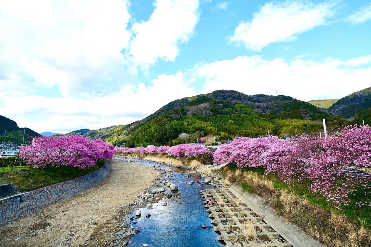 Shobuzawa Log Villa Kawazu Buitenkant foto