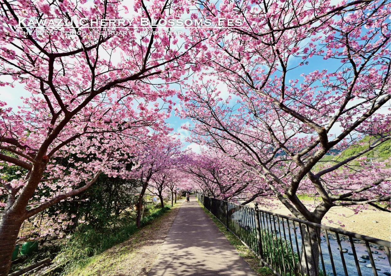 Shobuzawa Log Villa Kawazu Buitenkant foto