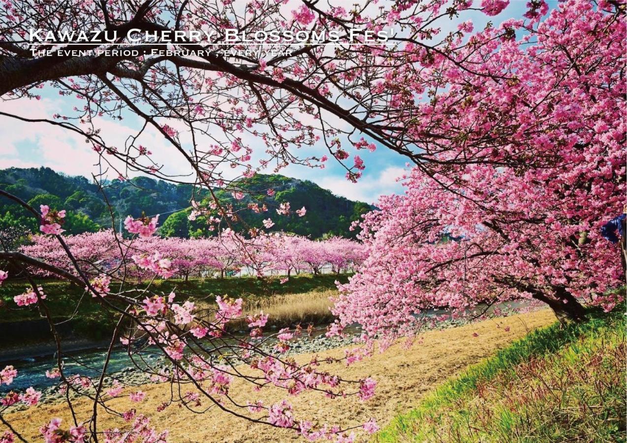 Shobuzawa Log Villa Kawazu Buitenkant foto
